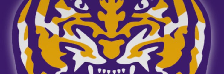 Wes_Bay's profile banner image