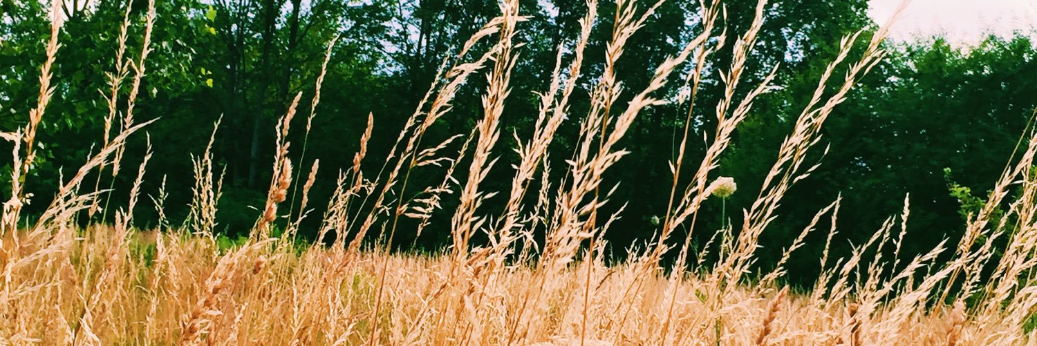MrTeale's profile banner image