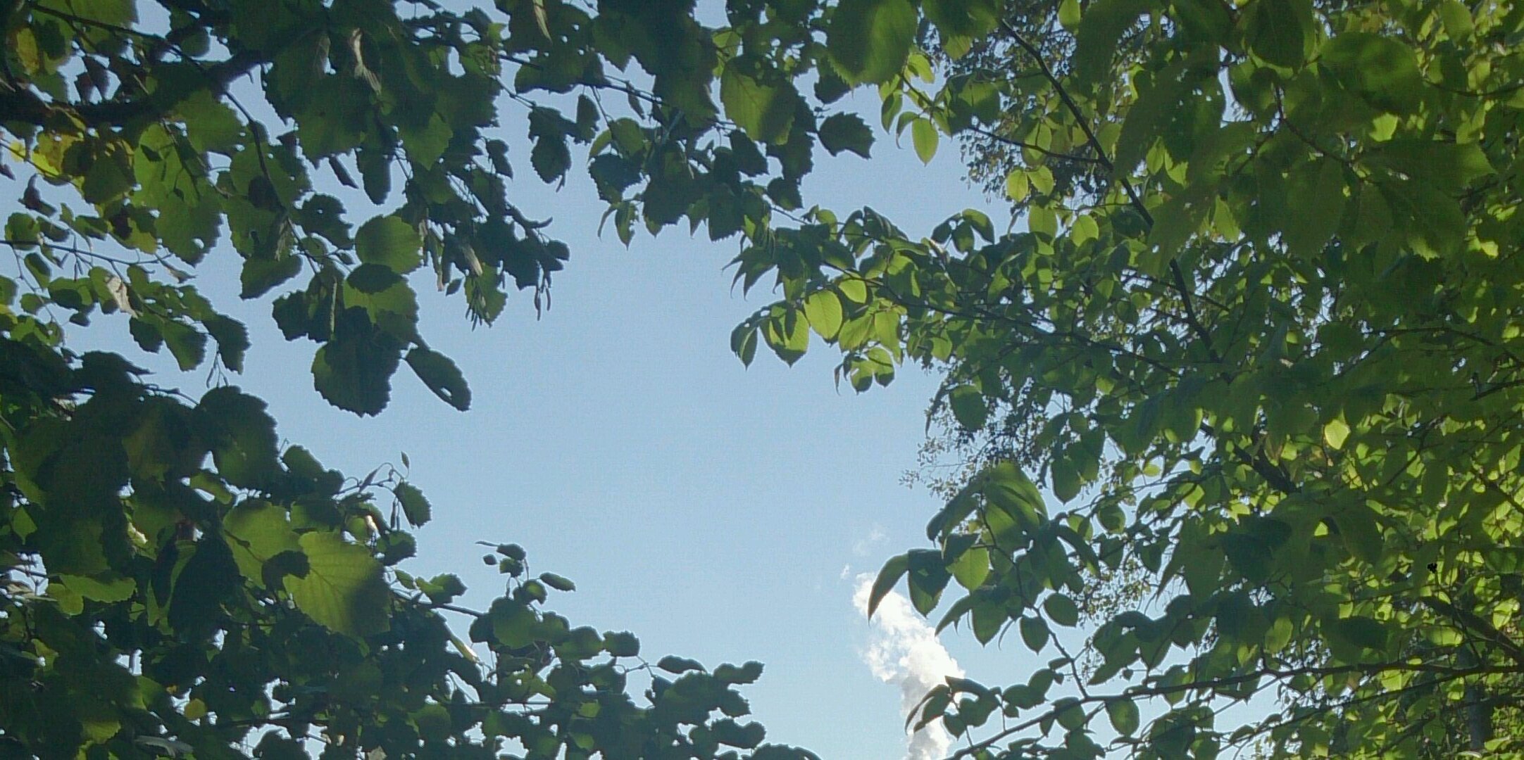 MrsZidde's profile banner image