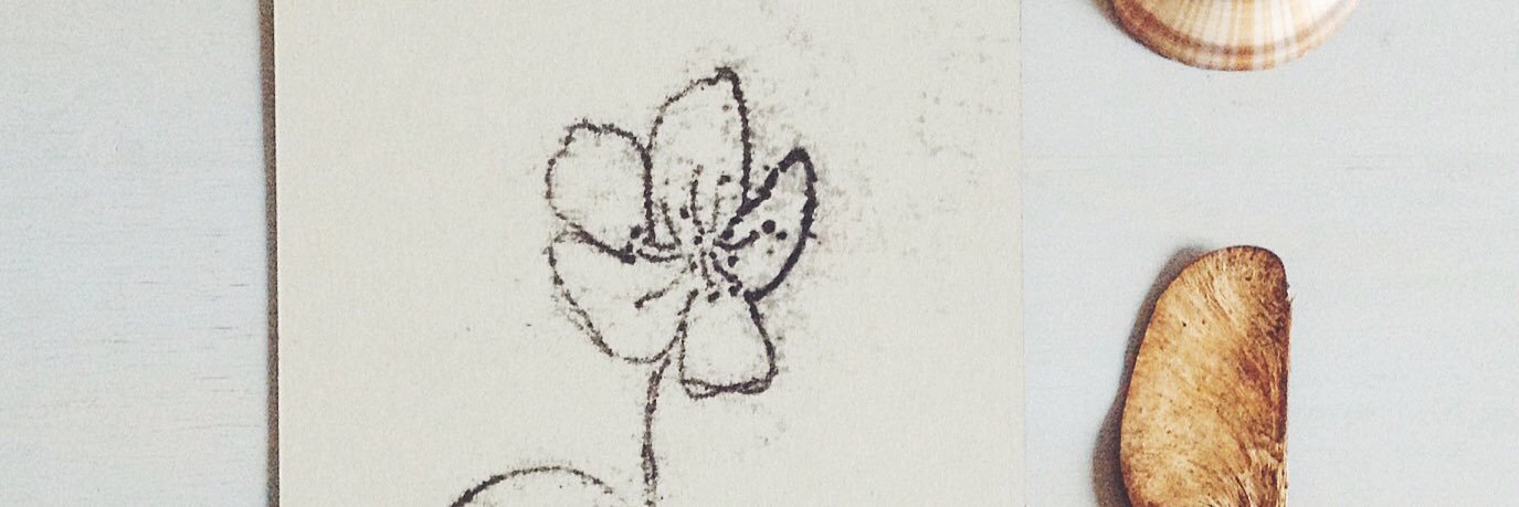 modernbotanics's profile banner image