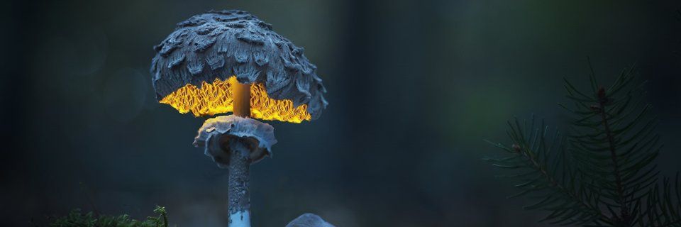 ckwambeh's profile banner image