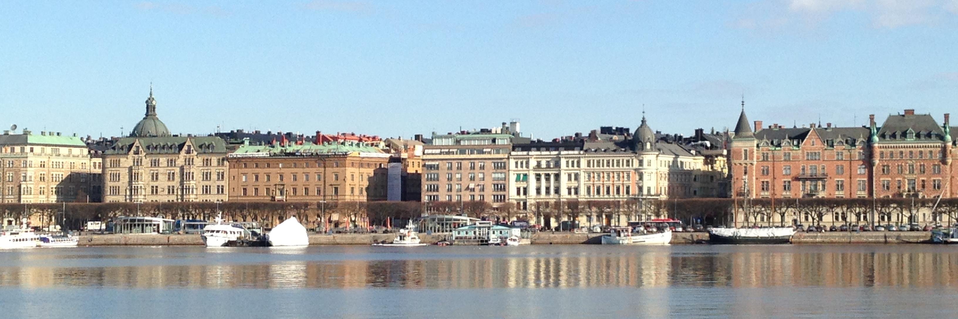 Anna Fredrixon banner