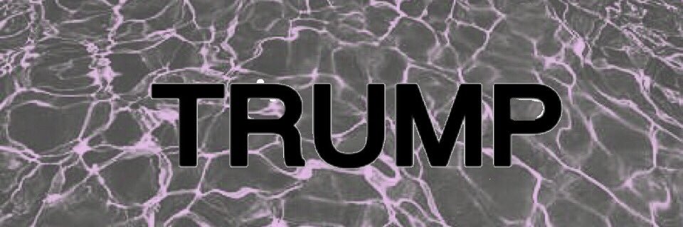 TRUMP_sendai's profile banner image