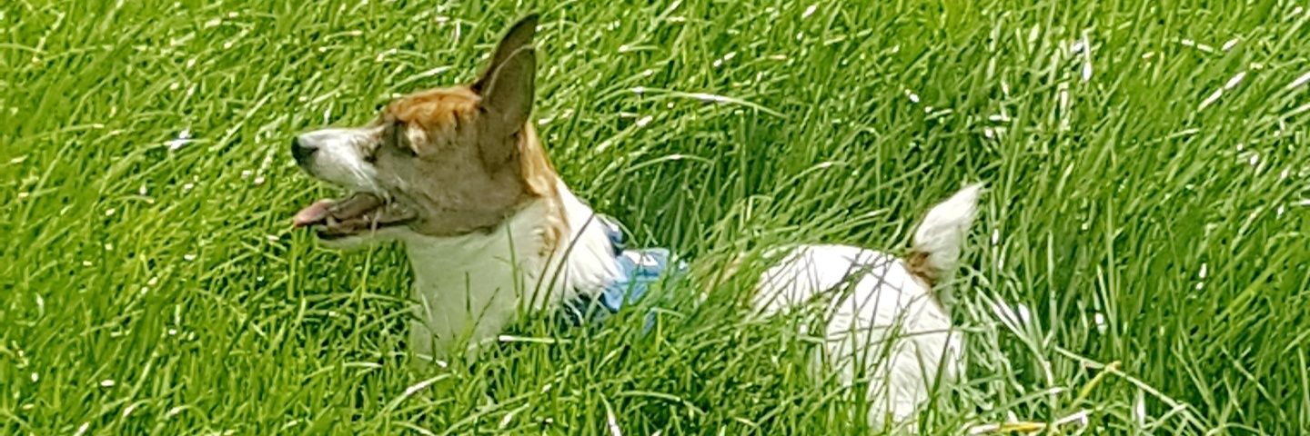 b881099's profile banner image