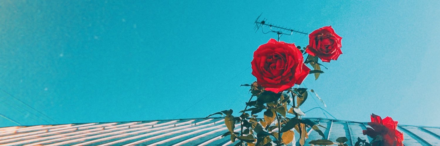 _maimai05_'s profile banner image