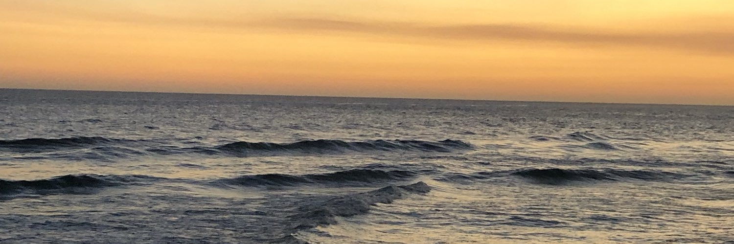 ptcthiry's profile banner image