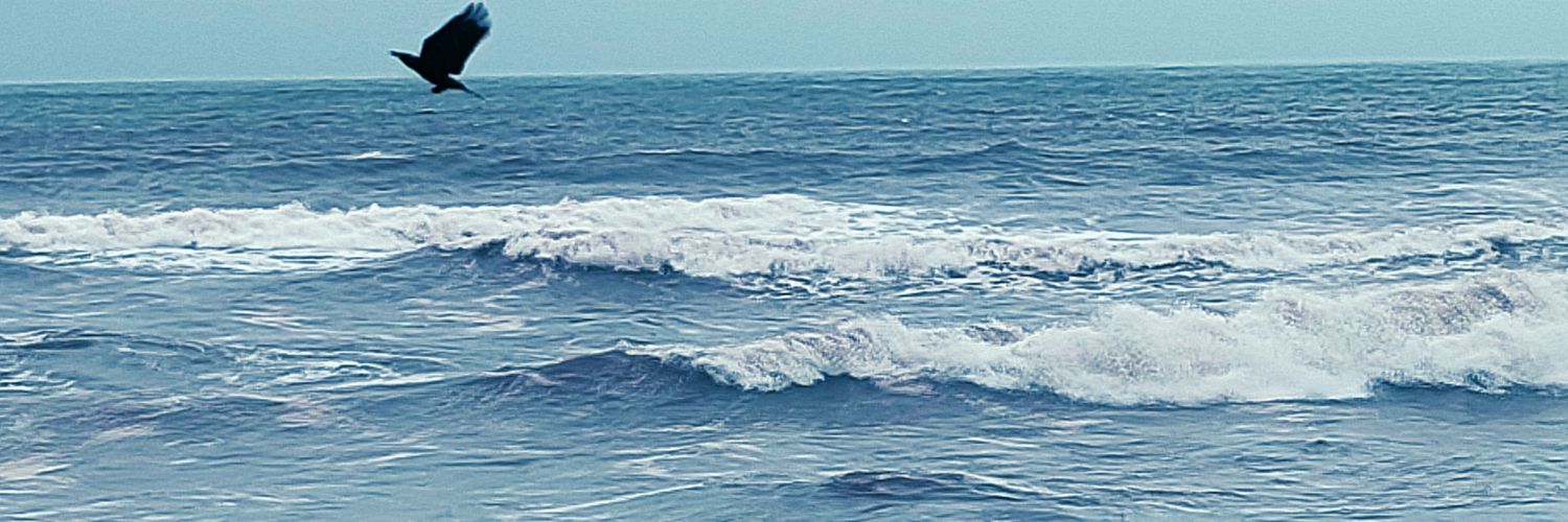 Subhrashis Banerjee 🖥️⚗️⚛️ banner