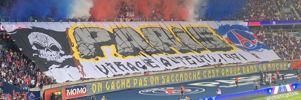 Ziggyl4l Profile Banner