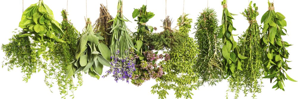 LaudHerb's profile banner image