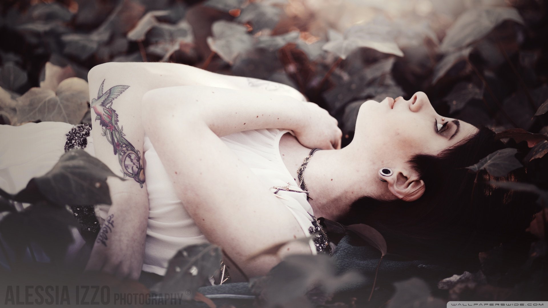 SherryFitzQueen's profile banner image
