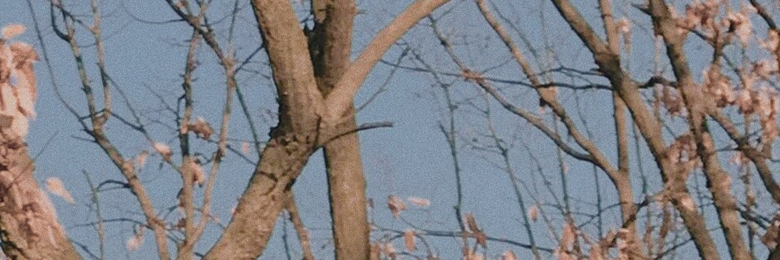 rasafullcream's profile banner image