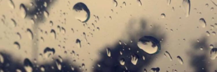 Mthail_0's profile banner image