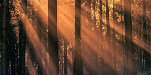 mcrincon's profile banner image