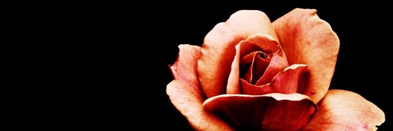 JudMacias's profile banner image