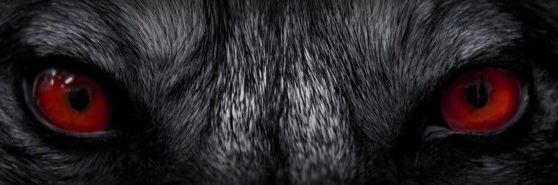 deacon635's profile banner image