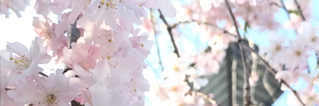 uedown's profile banner image