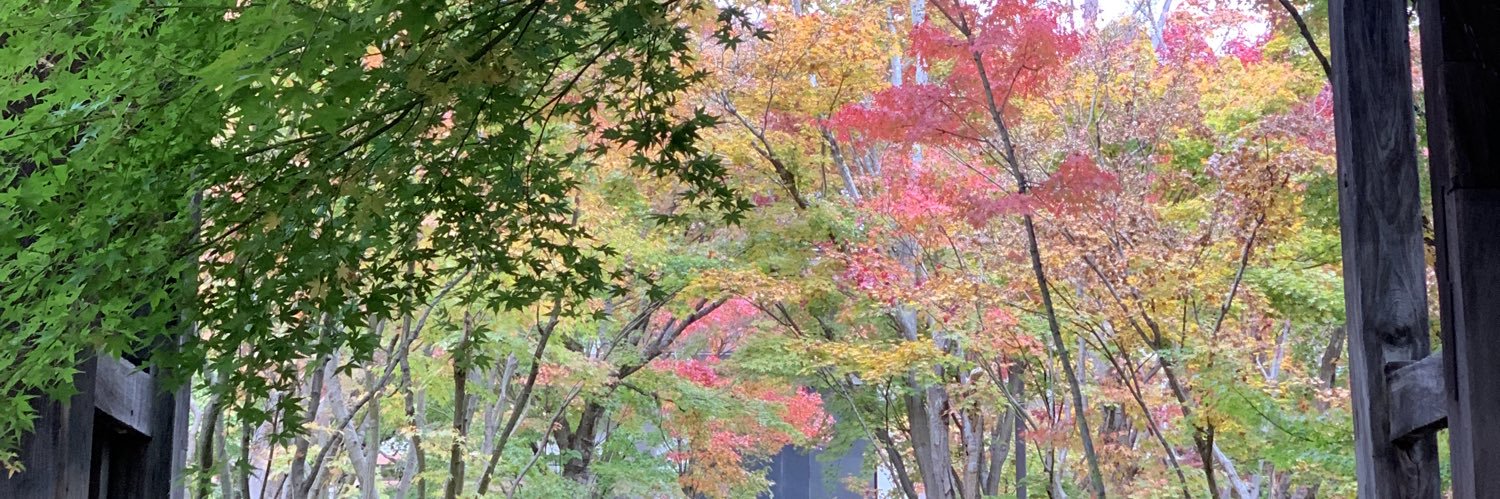 mnimaki's profile banner image