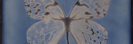 * fleurlyn close banner