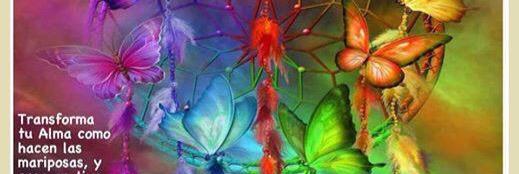 Pily Rodriguez ⚜⚜⚜ banner