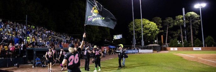 Chris Kwitzer banner