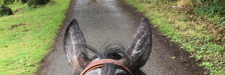 SalomeVerde's profile banner image
