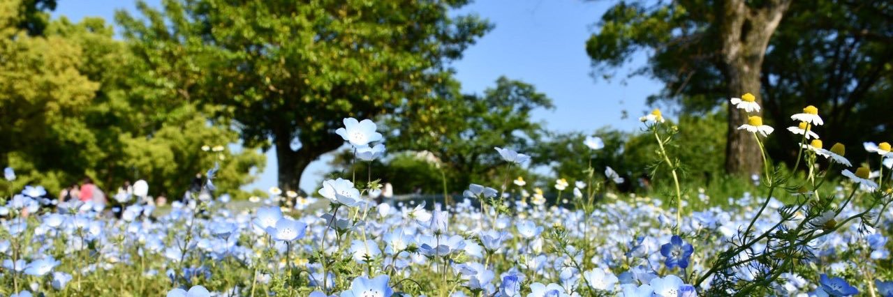 えぬにべあ banner