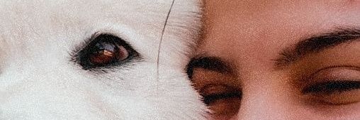 ivisser__'s profile banner image