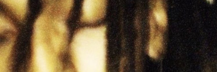 ShinkaHonne's profile banner image
