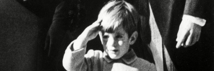 davidCatFree1714 banner