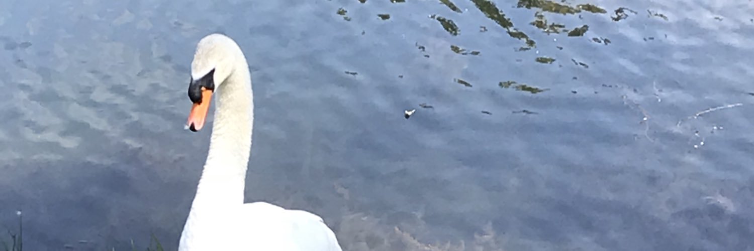 carolineand87's profile banner image