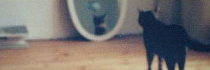 NaileTsn's profile banner image