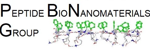 Peptide BioNanomaterials Group banner