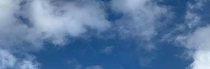 Y子 banner