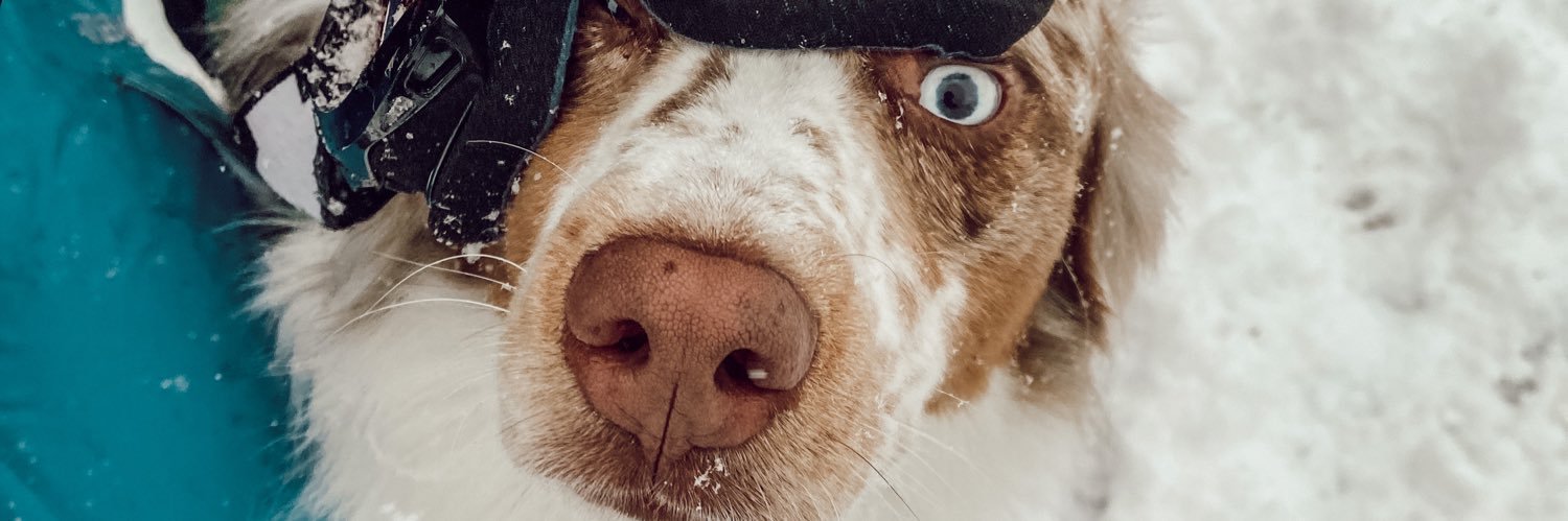 AddieWoods's profile banner image