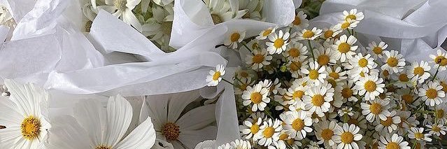 jy_mp3's profile banner image