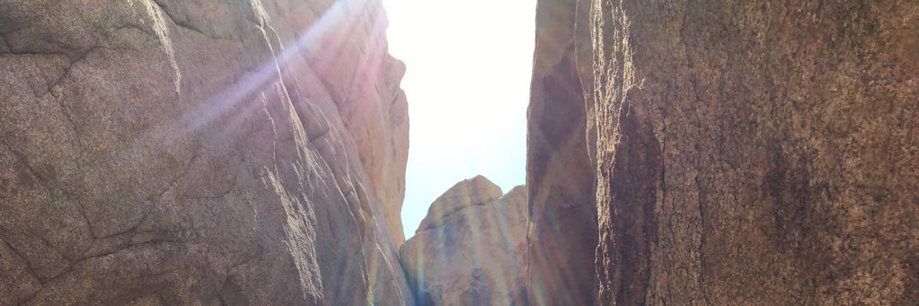Sam Stone banner