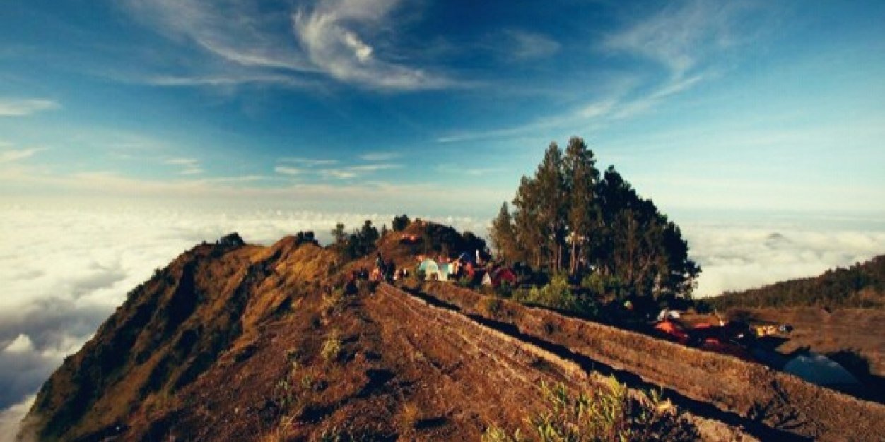 jangamar's profile banner image