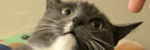 milenamr7 Profile Banner