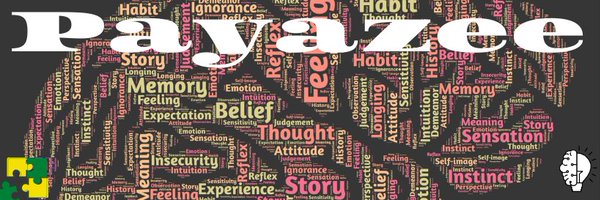 payazee_puzzle Profile Banner