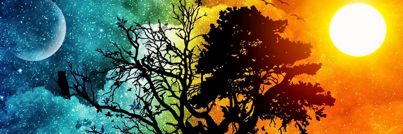 infodemirr's profile banner image