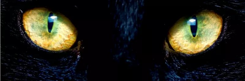 max_cloven's profile banner image