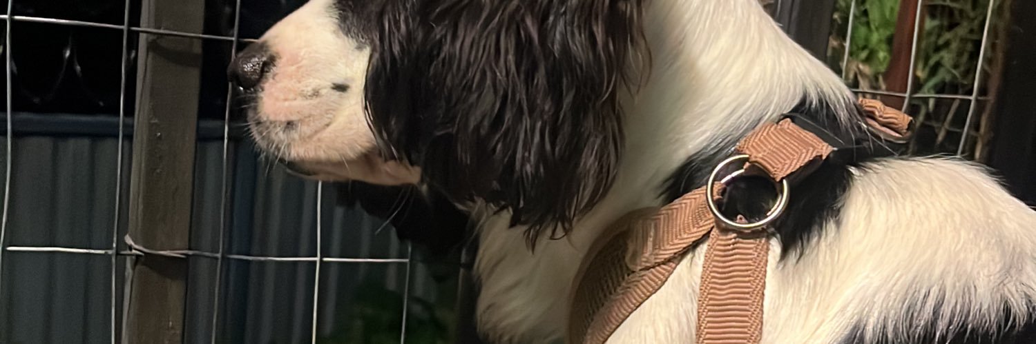 Aleeguzman____'s profile banner image