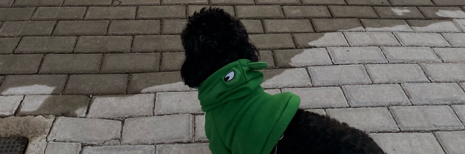 alineandra_'s profile banner image