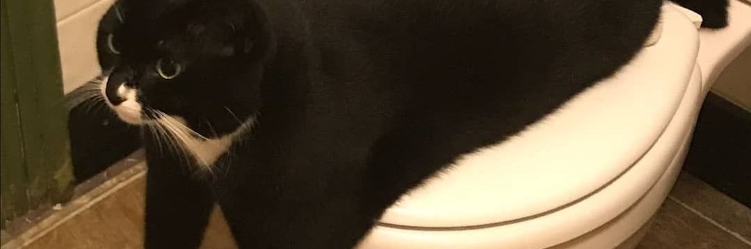 Ur Bank Account 💰💸 banner