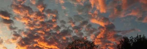 Nando_CSXN Profile Banner