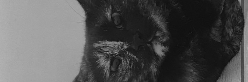 idontknowwho0's profile banner image