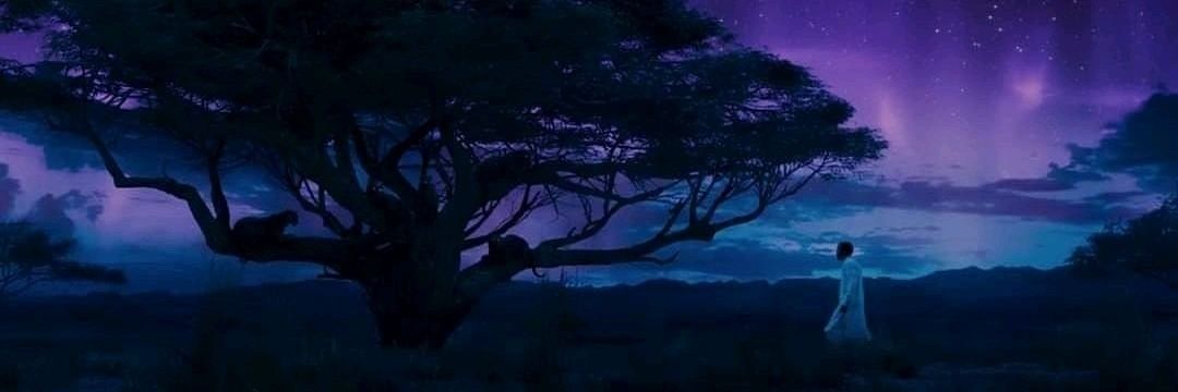 therealdlc12's profile banner image