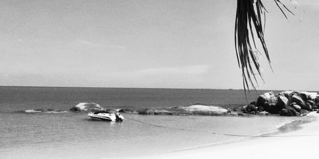 Bambang Pujiatmoko banner