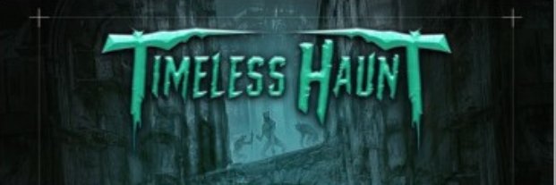 Timeless Bassist banner