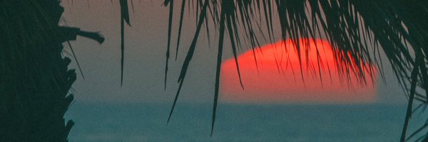 nevermindwill Profile Banner